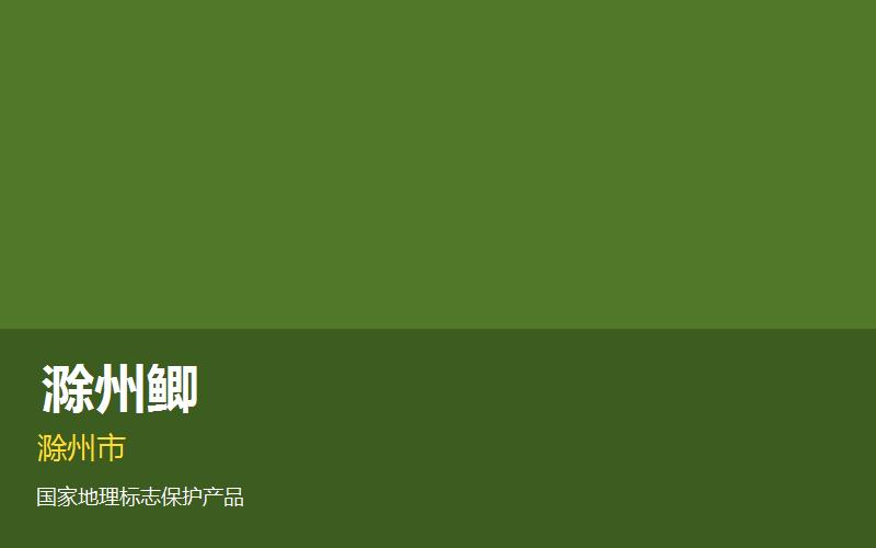 滁州鲫— 安徽地理标..