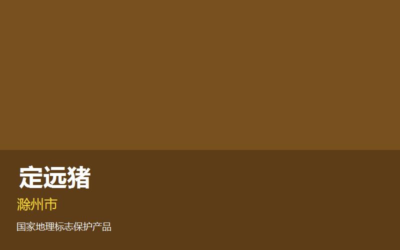 滁州定远猪— 安徽地..