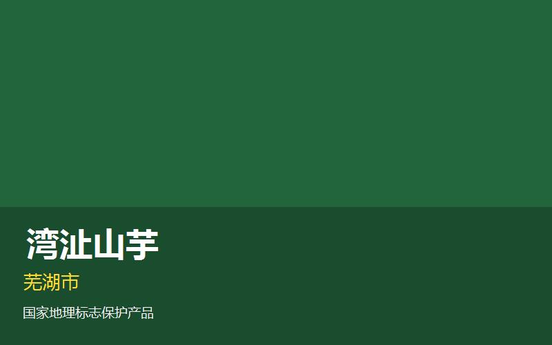 芜湖湾沚山芋— 安徽..