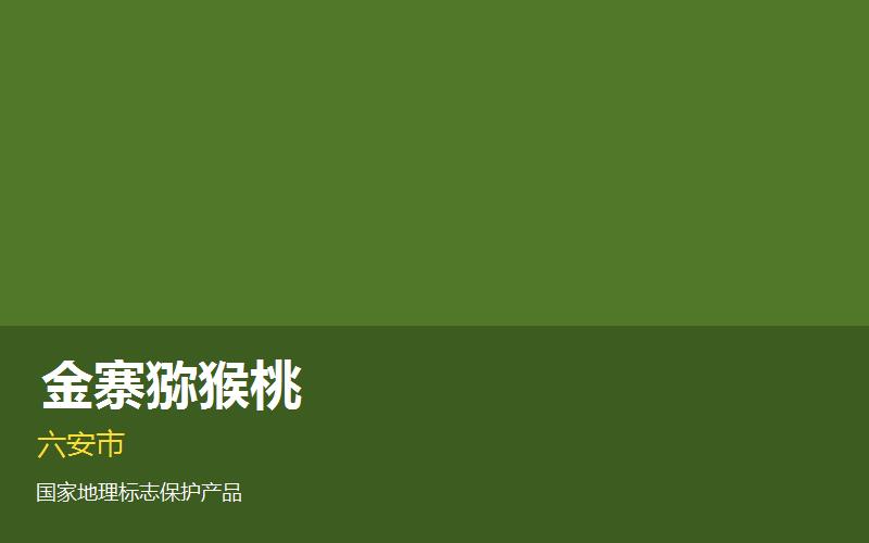 六安金寨猕猴桃— 安..