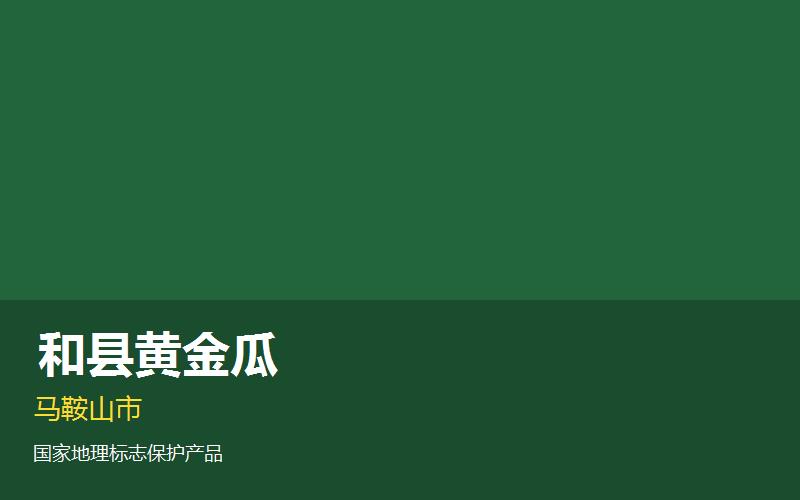 马鞍山和县黄金瓜— ..